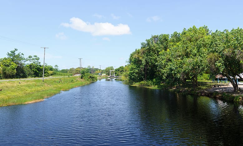 89-year-old pensioner drowns while bathing in a canal